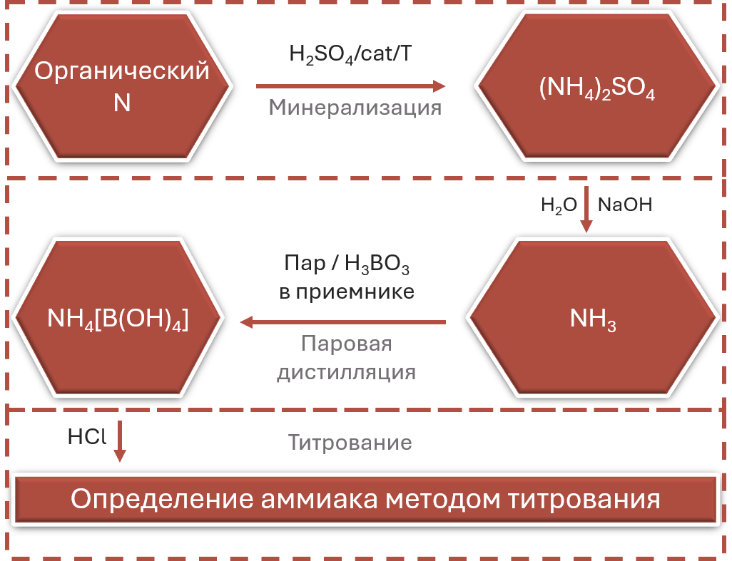Типичный путь превращений азота в методе Кьельдаля